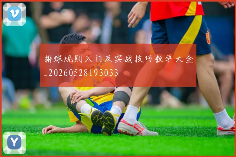 排球规则入门及实战技巧教学大全_20260528193033