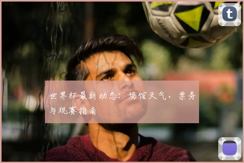 世界杯最新动态:场馆天气、票务与观赛指南